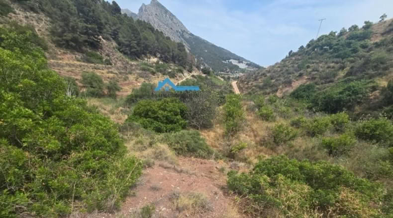 Orense - Laxas - 2122m2