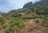 Terreny no urbanitzable en venda a la España, Bolulla, ref.: TR320228 foto