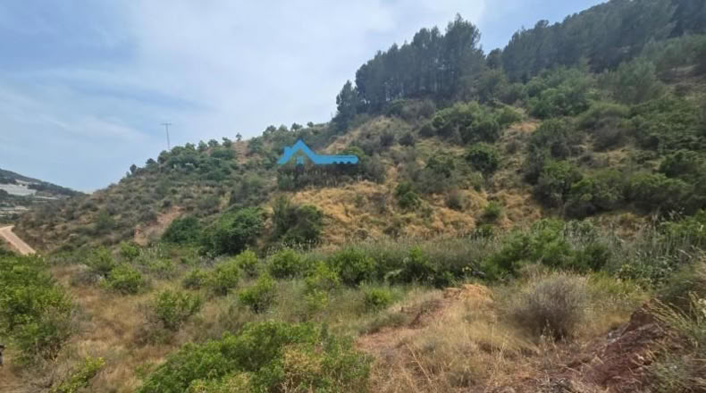 Orense - Laxas - 2122m2