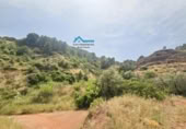 Terreny no urbanitzable en venda a la España, Bolulla, ref.: TR320228 foto