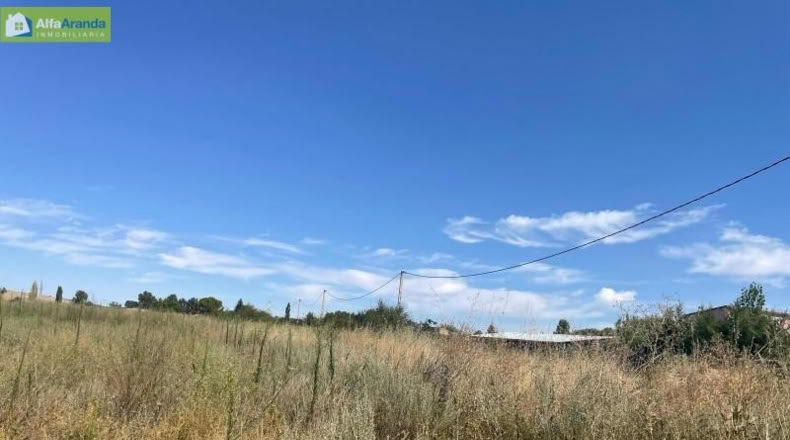 Burgos - Aranda de Duero - 2100m2
