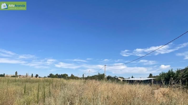 Burgos - Aranda de Duero - 2100m2