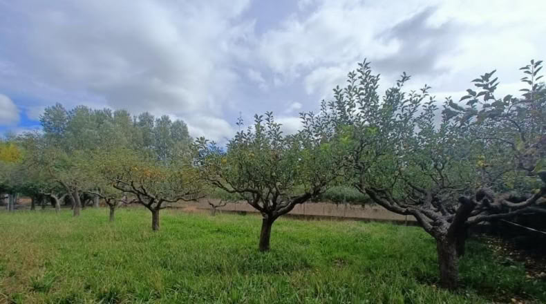 León - Villaturiel - 1548m2