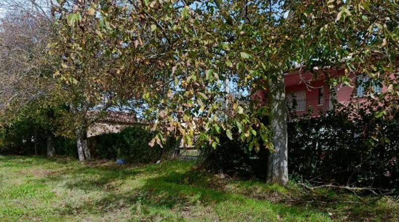 León - Villaturiel - 1548m2