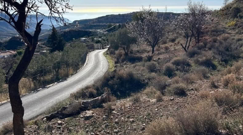 Almería - Felix - 2250m2
