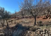 Terreny no urbanitzable en venda a la España, Felix, ref.: TR289414 foto