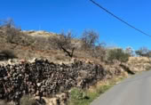 Terreny no urbanitzable en venda a la España, Felix, ref.: TR289414 foto