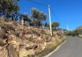 Terreny no urbanitzable en venda a la España, Felix, ref.: TR289414 foto