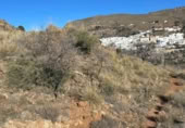 Terreny no urbanitzable en venda a la España, Felix, ref.: TR289414 foto