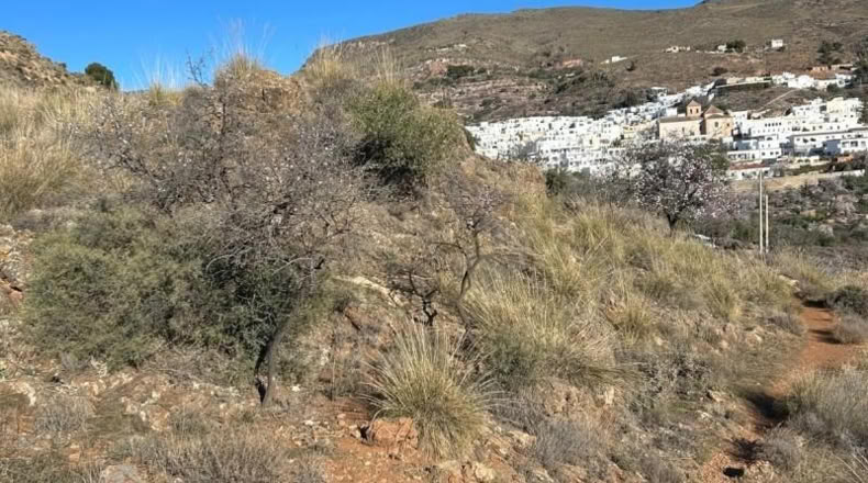 Almería - Felix - 2250m2