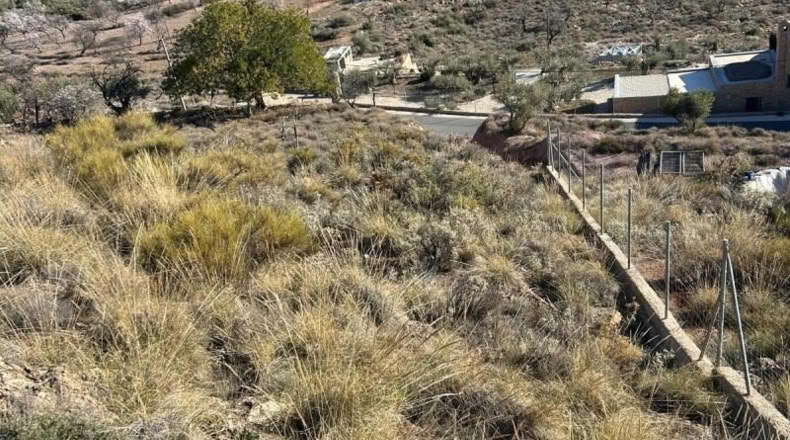 Almería - Felix - 2250m2