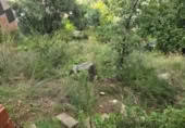 Urban land for sale on España, Sant Feliu de Codines, ref: TR218787 photo