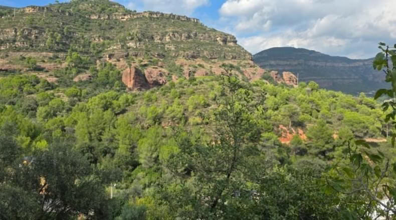 Barcelona - Sant Feliu de Codines - 484m2