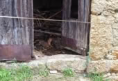 Casa de poble en venda a la España, San Miguel del Robledo, ref.: TR294467 foto