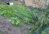 Sòl urbà en venda a la España, Arcos de la Frontera, ref.: TR367523 foto