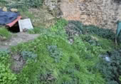 Sòl urbà en venda a la España, Arcos de la Frontera, ref.: TR367523 foto