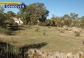 Land suitable for development for sale on España, Valencia de Alcántara, ref: TR113748 photo