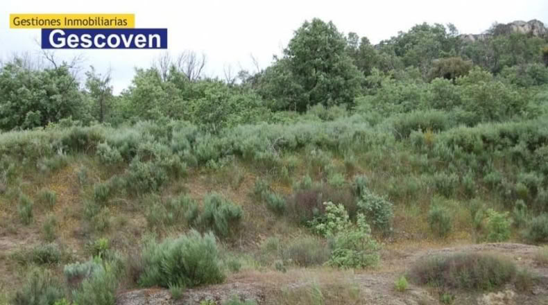 Cáceres - Valencia de Alcántara - 37000m2