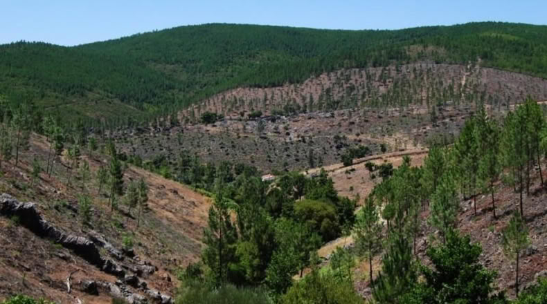 Cáceres - Valencia de Alcántara - 148m2