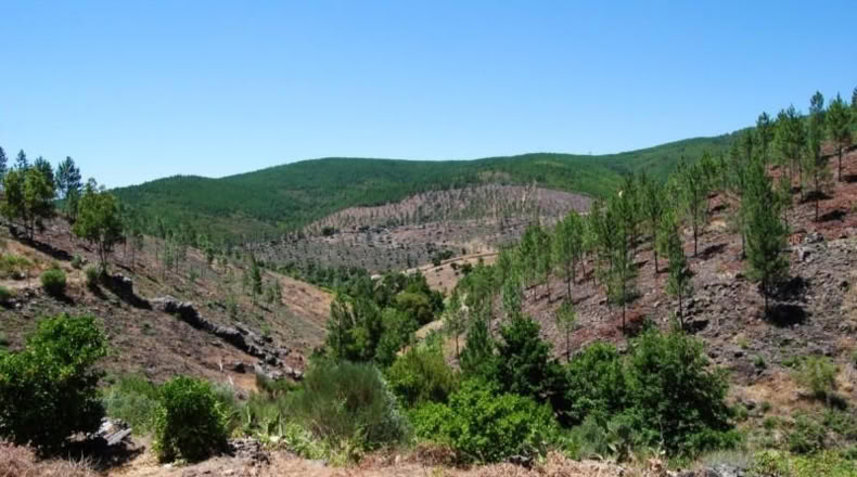 Cáceres - Valencia de Alcántara - 148m2