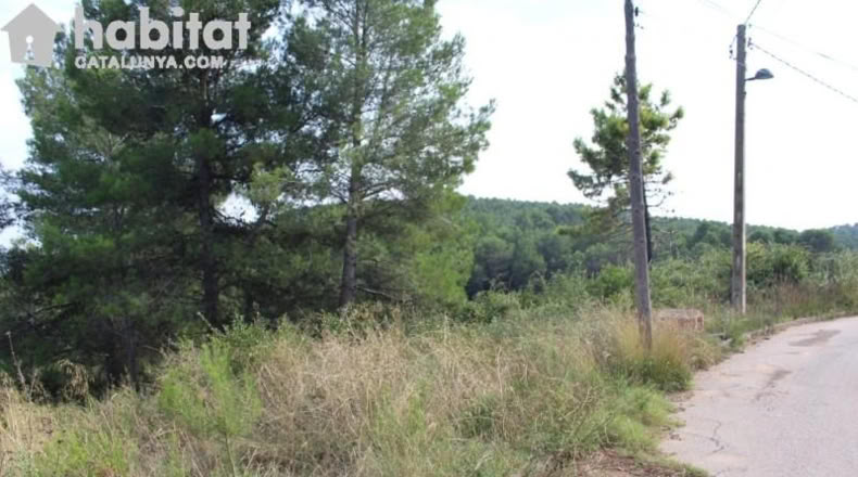 Barcelona - Can Paixano - 574m2