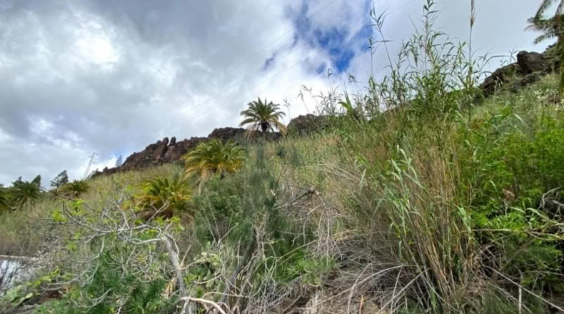 Las Palmas - San Bartolomé de Tirajana - 1000m2