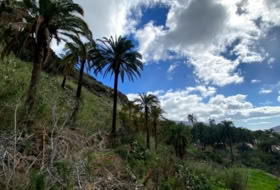 San Bartolomé de Tirajana 1000&nbsp;m² 