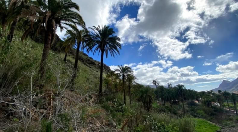 Las Palmas - San Bartolomé de Tirajana - 1000m2