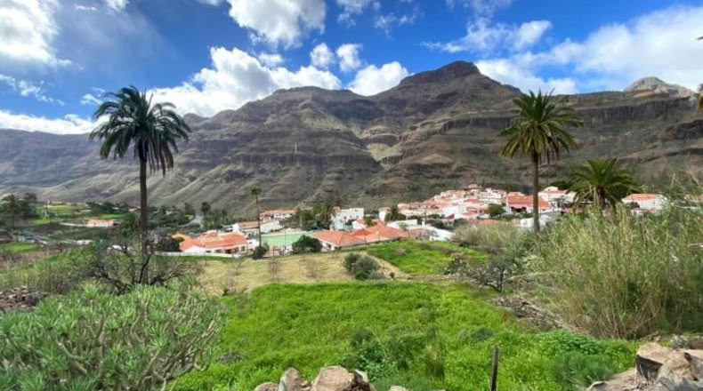 Las Palmas - San Bartolomé de Tirajana - 1000m2