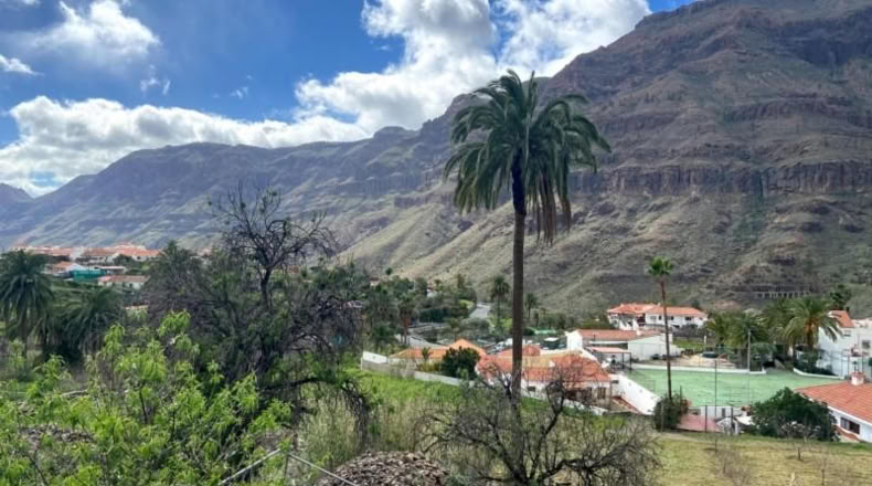 Las Palmas - San Bartolomé de Tirajana - 1000m2