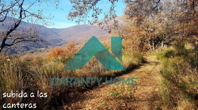 Cáceres - Aldeanueva de la Vera - 25000m2