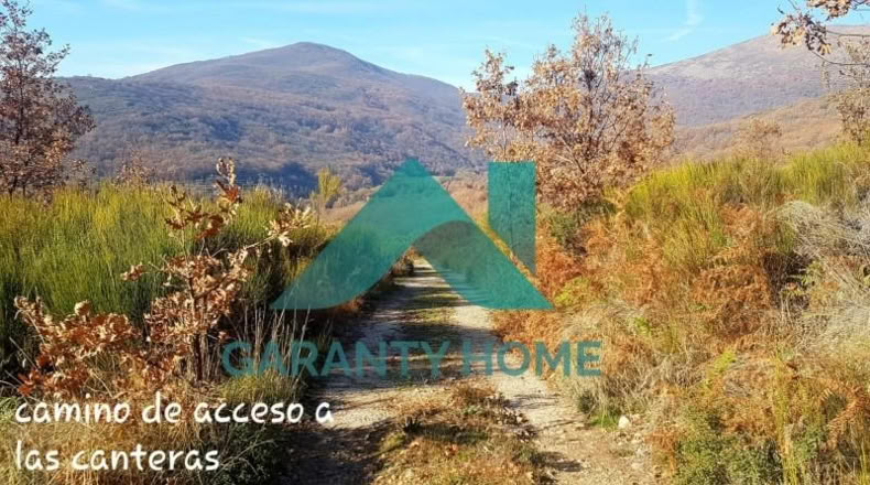 Cáceres - Aldeanueva de la Vera - 25000m2