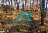 Xalet independent amb terreny en venda a la España, Aldeanueva de la Vera, ref.: TR293268 foto