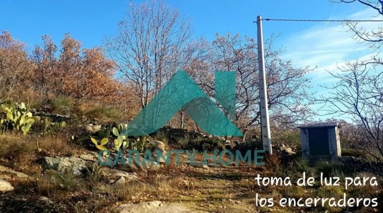Cáceres - Aldeanueva de la Vera - 25000m2
