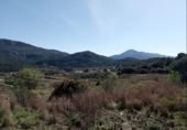 Terreny no urbanitzable en venda a la España, Rugat, ref.: TR118096 foto