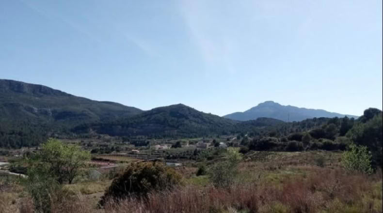 València - Ayelo de Rugat - 10074m2