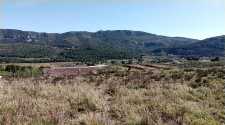 València - Ayelo de Rugat - 10074m2