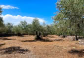 Земля на продажу у города el Perelló Фото
