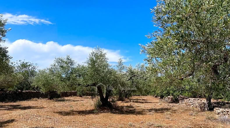 Tarragona - el Perelló - 5711m2