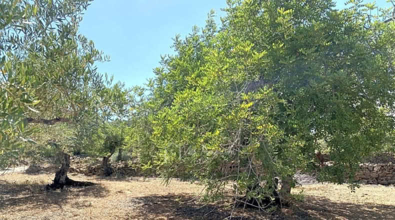 Tarragona - el Perelló - 5711m2