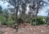 Sòl urbà en venda a la España, Castellnou de Bages, ref.: TR118320 foto