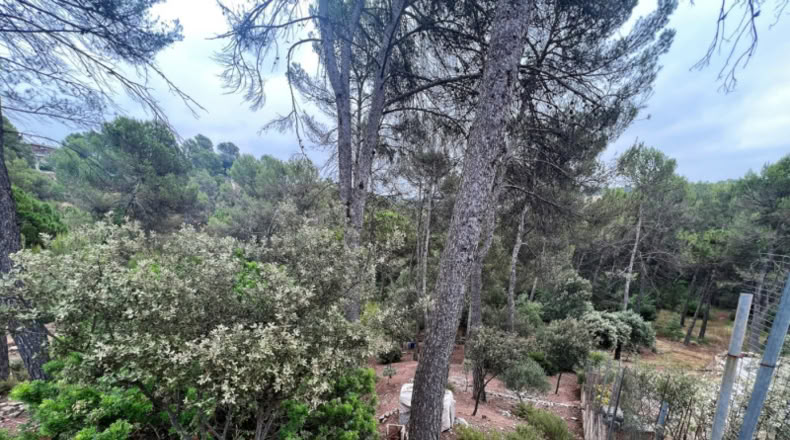 Barcelona - Castellnou de Bages - 640m2