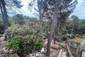Foto 11