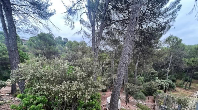Barcelona - Castellnou de Bages - 640m2