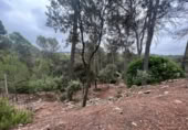 Sòl urbà en venda a la España, Castellnou de Bages, ref.: TR118320 foto