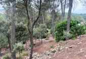 Sòl urbà en venda a la España, Castellnou de Bages, ref.: TR118320 foto