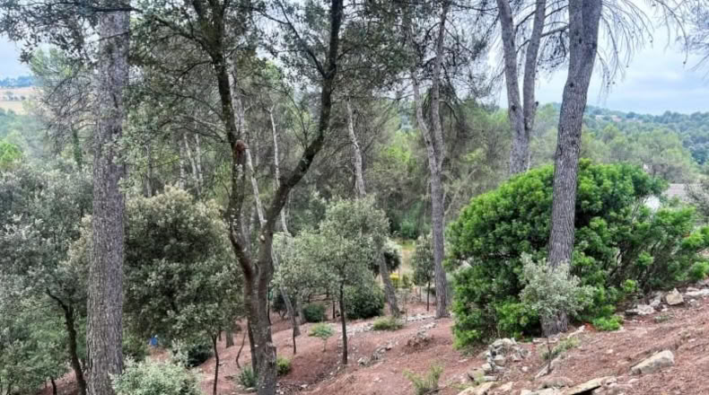 Barcelona - Castellnou de Bages - 640m2
