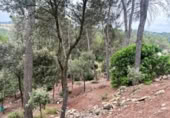 Sòl urbà en venda a la España, Castellnou de Bages, ref.: TR118320 foto
