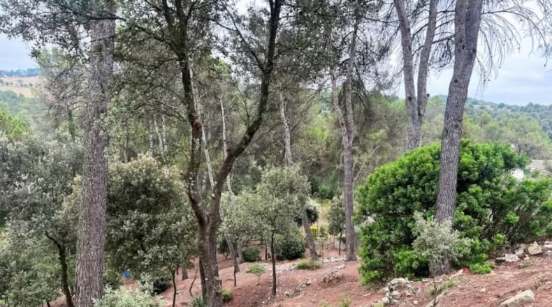 Barcelona - Castellnou de Bages - 640m2