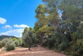 Bellmunt de Mesquí 48371&nbsp;m² 